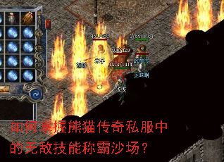 如何掌握熊猫传奇私服中的无敌技能称霸沙场? 如何掌握熊猫传奇私服中的无敌技能称霸沙场?