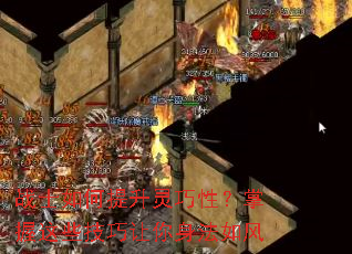 սʿ������������ԣ�������Щ���������������