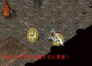 ��ְҵ����װ��������ô�鿴��