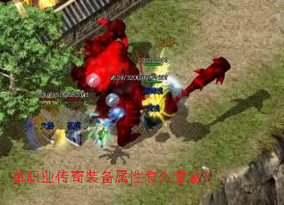 ��ְҵ����װ��������ô�鿴��