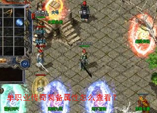 ��ְҵ����װ��������ô�鿴��