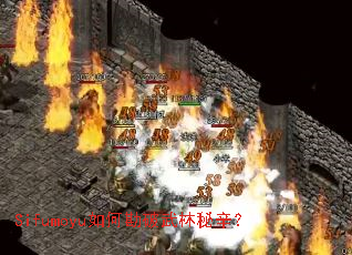 Sifumoyu��ο�������������