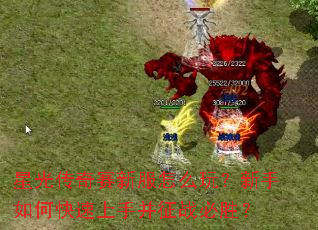 �ǹ⴫�����·���ô�棿������ο������ֲ���ս��ʤ��