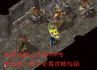 如何快速上手SF999传奇私服?新手必看攻略指南 如何快速上手SF999传奇私服?新手必看攻略指南