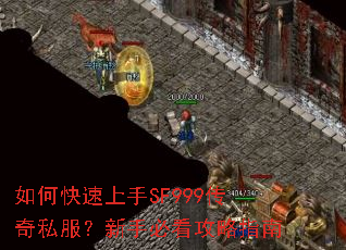 如何快速上手SF999传奇私服?新手必看攻略指南 如何快速上手SF999传奇私服?新手必看攻略指南