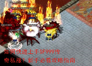 ��ο�������SF999����˽�������ֱؿ�����ָ��