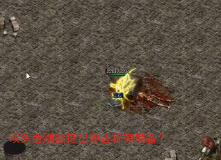 ˫ͷ������ڳ���Щϡ��װ����