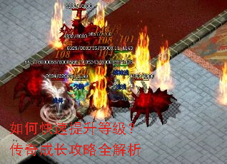 ��ο��������ȼ�������ɳ�����ȫ����