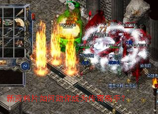 新资料片如何助你成为传奇高手? 新资料片如何助你成为传奇高手?