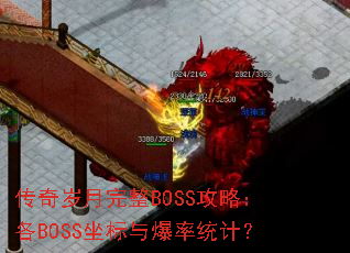 ������������BOSS���ԣ���BOSS�����뱬��ͳ�ƣ�