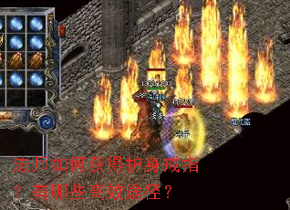 法师如何获得护身戒指?有哪些高效途径? 法师如何获得护身戒指?有哪些高效途径?