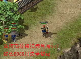 ��θ�Ч��ɨ����ħѨ���ռ�BOSS��ȫ����