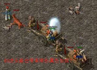 白虎头盔会带来哪些属性加成? 白虎头盔会带来哪些属性加成?