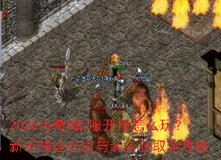 2026����M�·�������ô�棿���ֿ���������װ����ȡȫ����