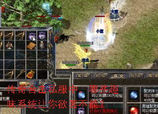 ����ϻ�˽���У���ЩȤζϵͳ�������ղ��ܣ�