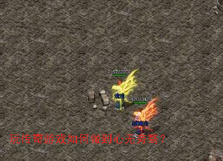 �洫����Ϸ���������������