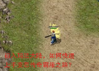 �����귨��½����ο������ֱ�̬����Է�֮·��