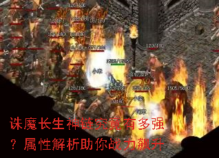诛魔长生神链究竟有多强?属性解析助你战力飙升 诛魔长生神链究竟有多强?属性解析助你战力飙升