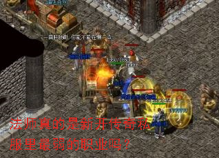 ��ʦ������¿�����˽����������ְҵ��