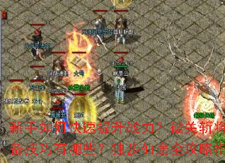 ������ο�������ս�����ƹ�ն���ر���������Щ��������;ȫ����ָ��