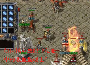 ���������ְҵ˽���е���Ѫ��սʿ��