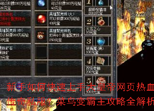 ������ο������ִ�ʵ���ҳ��Ѫ����˽����������������ȫ����