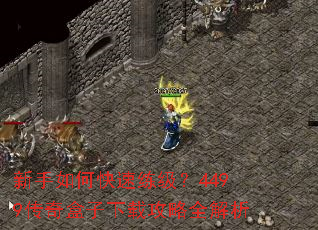 ������ο���������4499����������ع���ȫ����