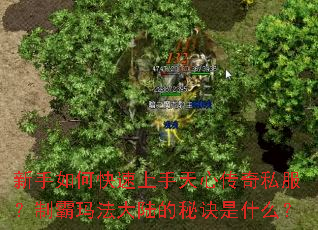 ������ο����������Ĵ���˽�����ư��귨��½���ؾ���ʲô��