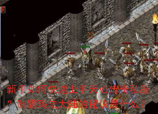 ������ο����������Ĵ���˽�����ư��귨��½���ؾ���ʲô��