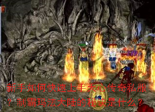 ������ο����������Ĵ���˽�����ư��귨��½���ؾ���ʲô��