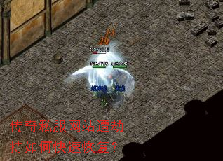 ����˽����վ��ٳ���ο��ٻָ���