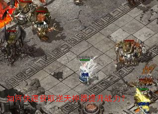 ��ο��ٻ�ȡ������������ս����