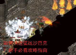 ��ο�����սɳ�Ϳˣ����ֱؿ�����ָ��