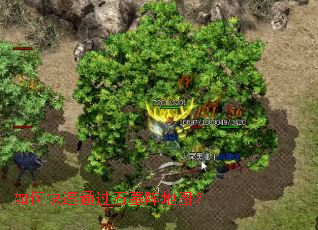 ��ο���ͨ��ʯĹ���ͼ��