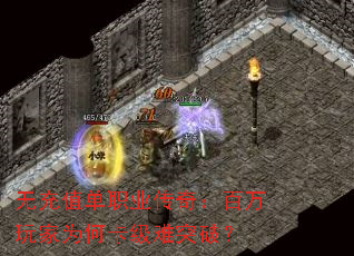 �޳�ֵ��ְҵ���棺�������Ϊ�ο�����ͻ�ƣ�