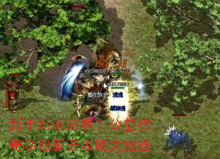 新手玩家必看?公益传奇私服新开攻略大放送 新手玩家必看?公益传奇私服新开攻略大放送