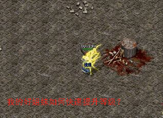 �ҵĺý�����ο��������ȼ���