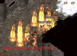 �ҵĺý�����ο��������ȼ���