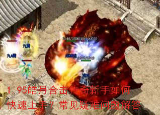 1.95��ºϻ�����������ο������֣���������������