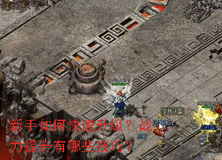 ������ο���������ս����������Щ���ɣ�