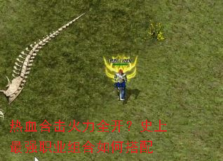 ��Ѫ�ϻ�����ȫ����ʷ����ǿְҵ�����δ���