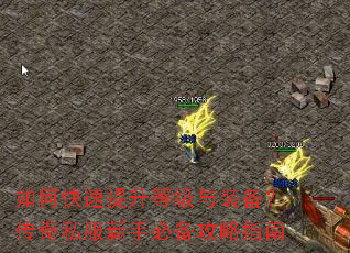 ��ο��������ȼ���װ��������˽�����ֱر�����ָ��