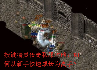 �������鴫��˽�����ԣ���δ����ֿ��ٳɳ�Ϊ���֣�