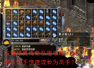 �������鴫��˽�����ԣ���δ����ֿ��ٳɳ�Ϊ���֣�