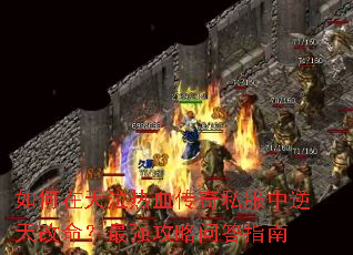 �����������Ѫ����˽���������������ǿ�����ʴ�ָ��