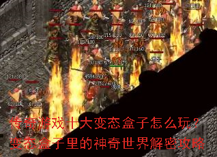 ������Ϸʮ���̬������ô�棿��̬�����������������ܹ���