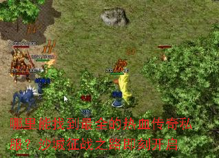 �������ҵ���ȫ����Ѫ����˽����ɳ����ս֮·���̿���