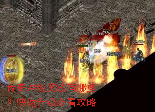 ����弶��������Щ�����������ؿ�����