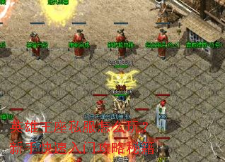 Ӣ������˽����ô�棿���ֿ������Ź����ؼ�