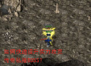 ��ο�������ʵ�����˴���˽��BOSS��